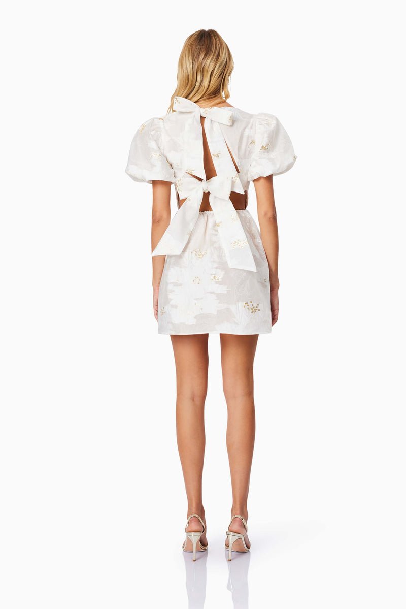 Octavia Mini Dress - Dress - Elliatt