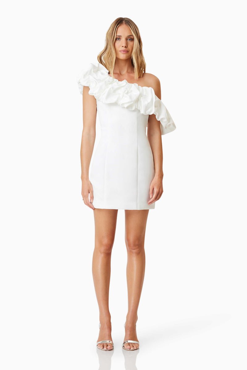 Amelie Party Dress - Dress - Elliatt