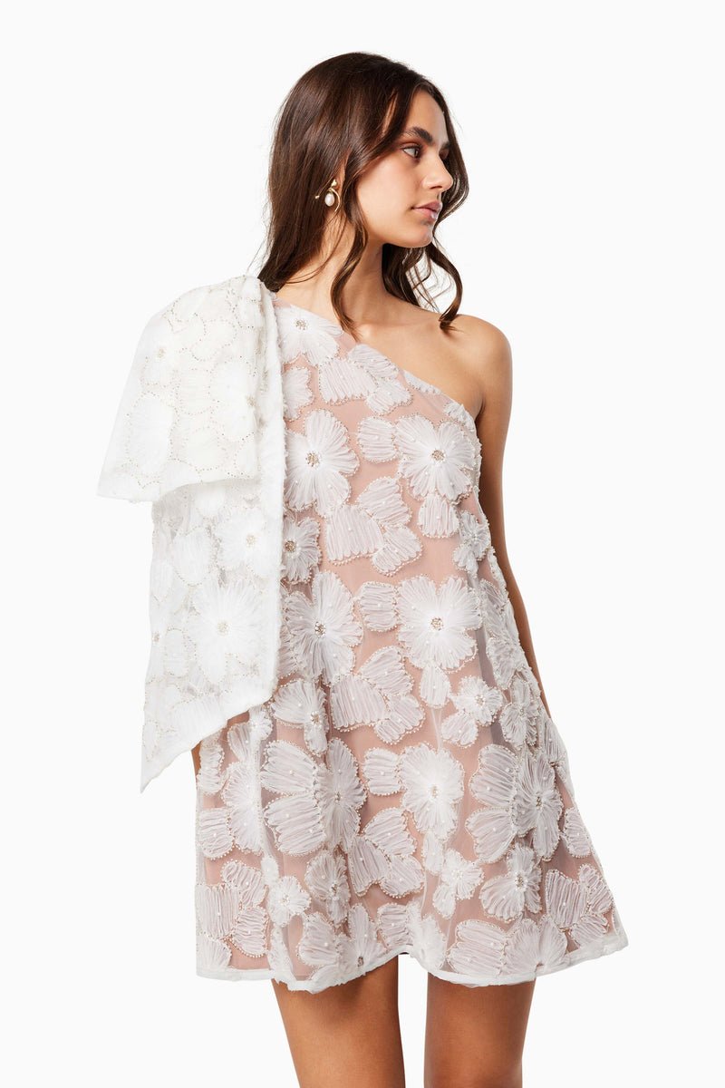 Briar Dress - Dress - Elliatt